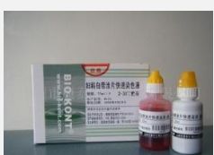 試劑盒怎么使用,尺寸,價格